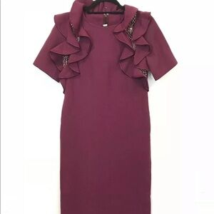 Christian Alta Moda Ruffle Embellished Shift Dress